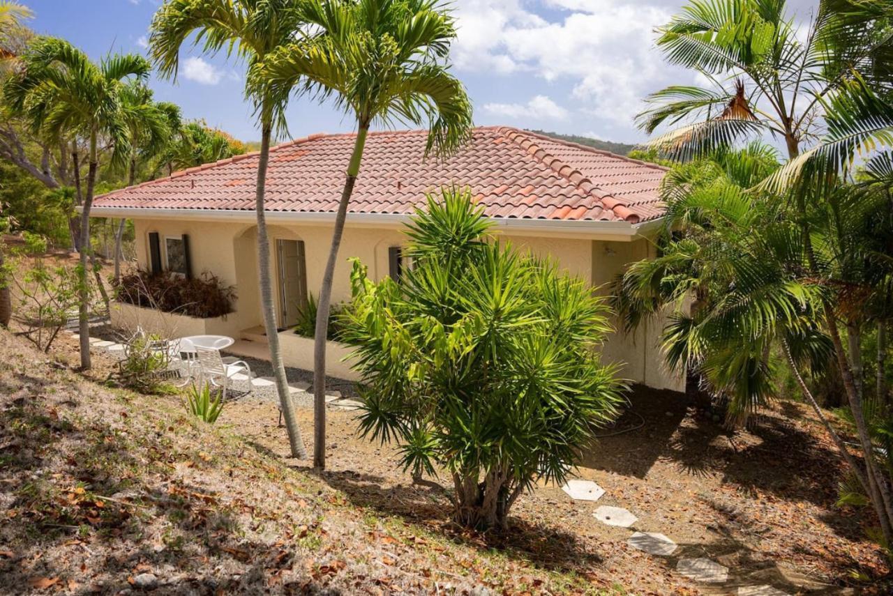 Betsy Jewel Caribbean Retreat Villa Christiansted Eksteriør billede